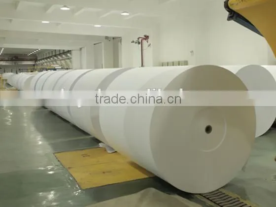 Promotion C2S Two Sides Coated Glossy Art Paper Roll 157gsm photo-5