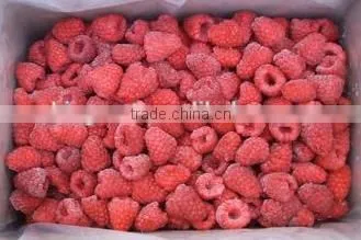 IQF Raspberry Whole With Good Quality for Sale
