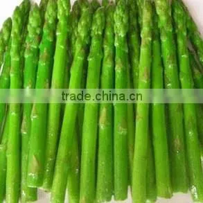 Many Type Canned Green Asparagus in Jar
