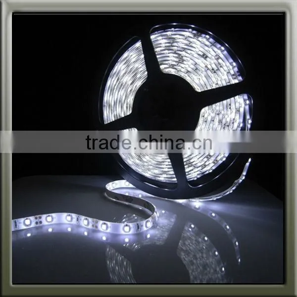220V 5050 Cool White Led Light LED Strip Light Waterproof photo-3