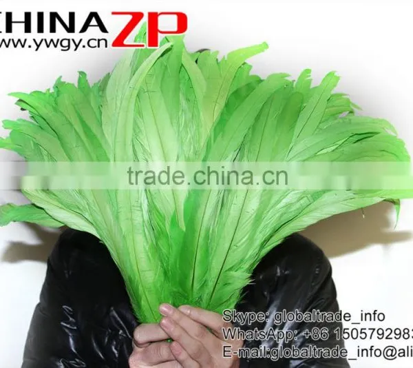 Leading Supplier CHINAZP Bulk Sale Cheap Colored Lime Green Chicken Fully Dyed Roosters Feathers photo-3