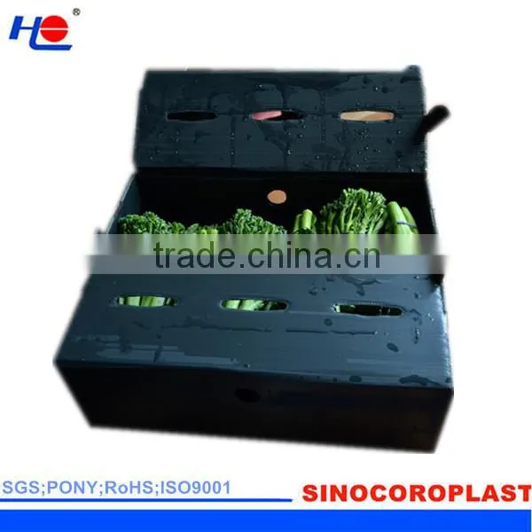 Plastic Collapsible Box photo-2