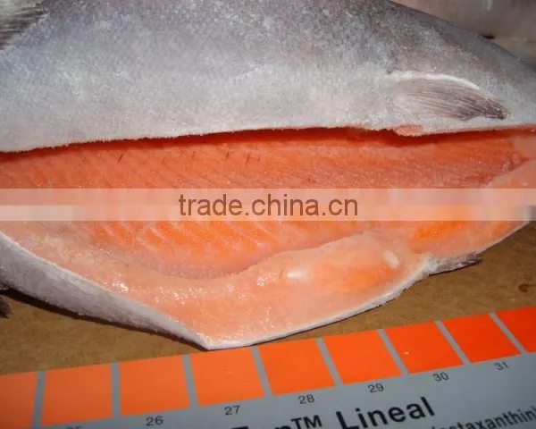 Rainbow Trout HG