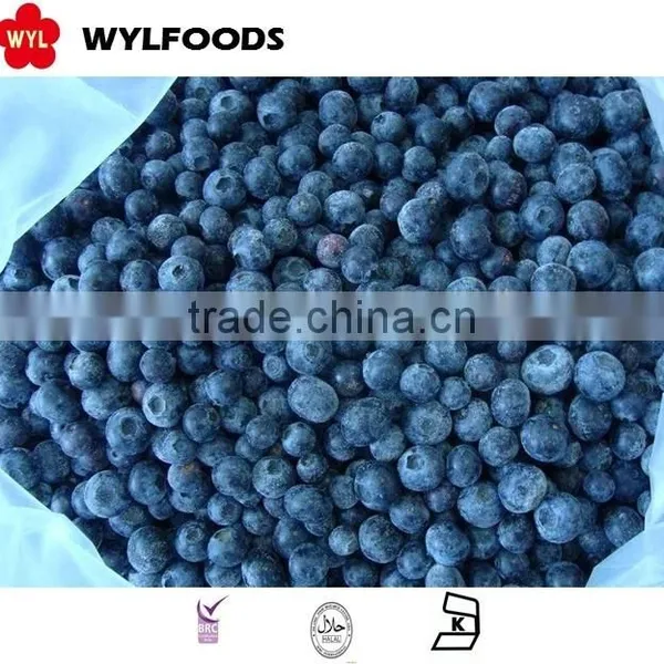 IQF Frozen Blueberry High Quality Hot Sales photo-2