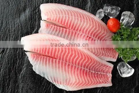 Whole Sale Co Treated IQF Frozen Tilapia Fish Fillet photo-3