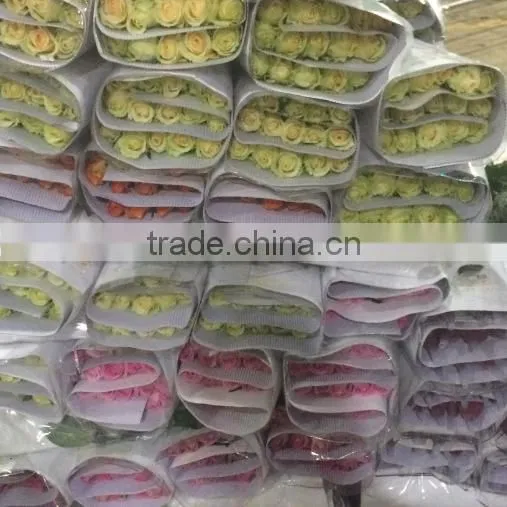 2016 Kunming Fresh Cut Flowers Fresh Cut Roses Wholesale Price photo-5