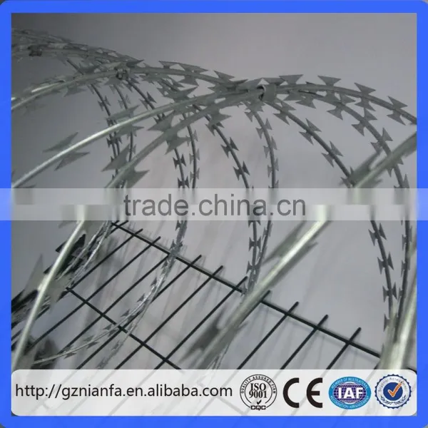 45/50/70/100cm Coil Galvanized Concertina Razor Wire(Guangzhou Factory) photo-4