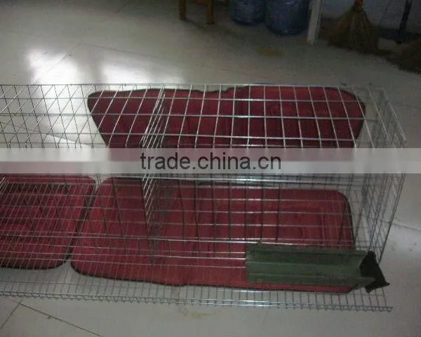 ISO9001 Chicken Wire Netting,hexagonal Wire Mesh,chicken Wire Mesh Price photo-3