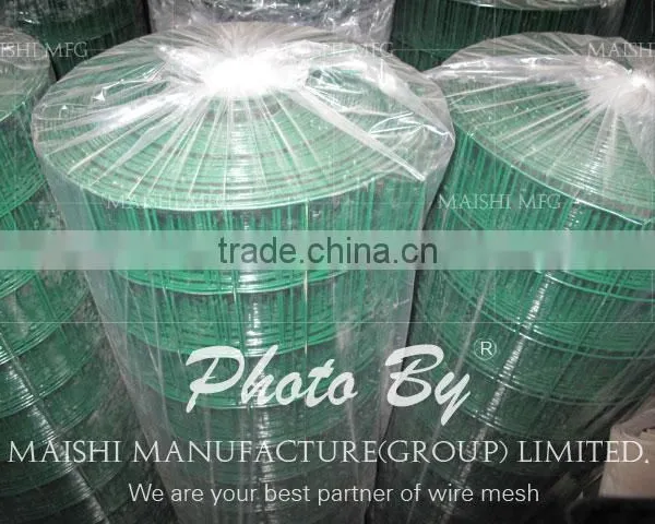 Green Color PVC Coated Wire Mesh photo-2