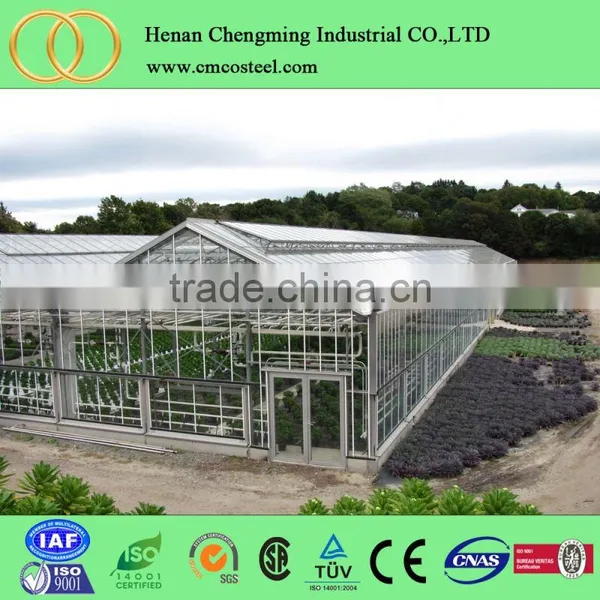 Cheap Polycarbonate Agricultural Greenhouse , Low Cost Tunnel Plastic Greenhouse for Sale
