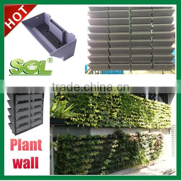 Green Wall Flower Pots photo-4