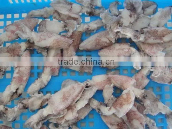 IQF/block Baby Squid Loligo Japonica photo-2