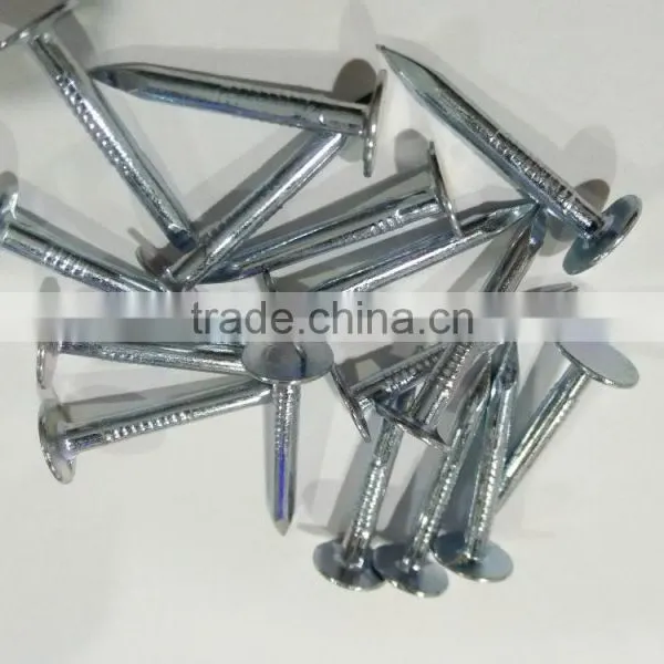 Galvanized Clout Nails With Flat Head photo-4