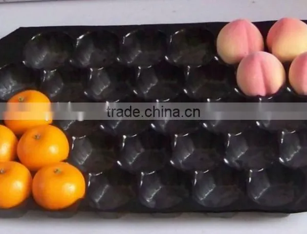 Fresh Produce Packaging Customized Vacuum Forming Disposable Plastic Fruit Cell Tray photo-2