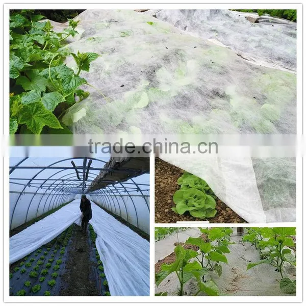 PP Non-woven Protective Cloth for Gardening/plant Pot Cover photo-2