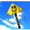 Sell Popular Kite Worldwide