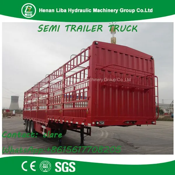 Best Seller in South Asia Stake/Cargo Semi Trailer Animal Transport Trailer photo-4