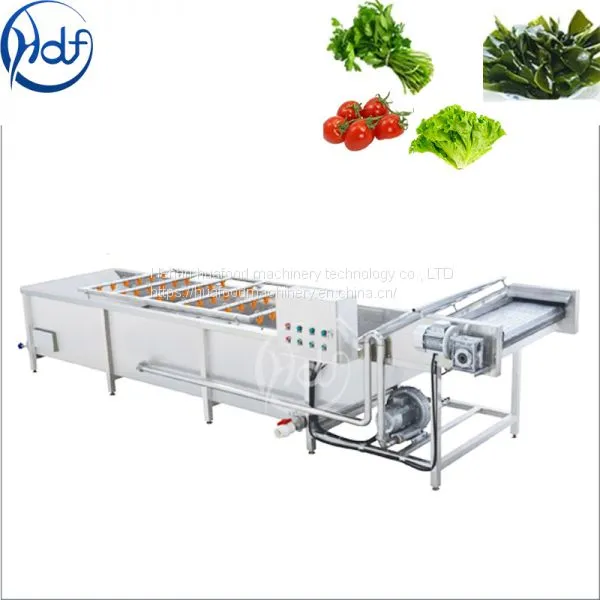 Air Bubble Washing Machine for Fruit and Vegetable Strawberry Washing Machine