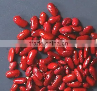 Organic Dark Red Kidney Bean