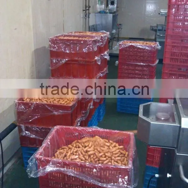 Sausage Cutting Knot Machine photo-4