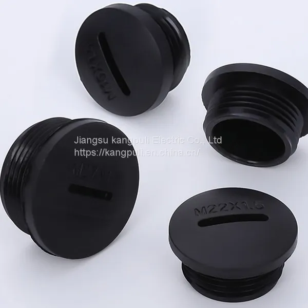 Plug Cap photo-3
