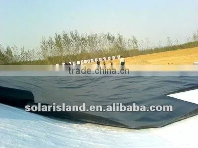 HDPE Geomembrane
