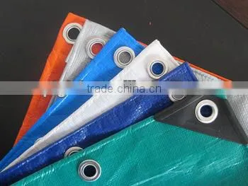 PE Plastic Tarpaulin Sheet With Aluminum Eyelets