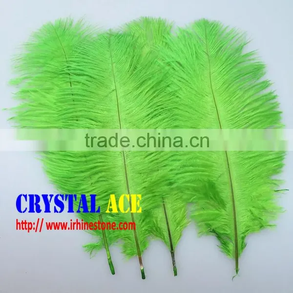 Wholesale Colourful Dyed Ostric Feather, Feather Ostric Plumes for Carnival Costumes photo-2