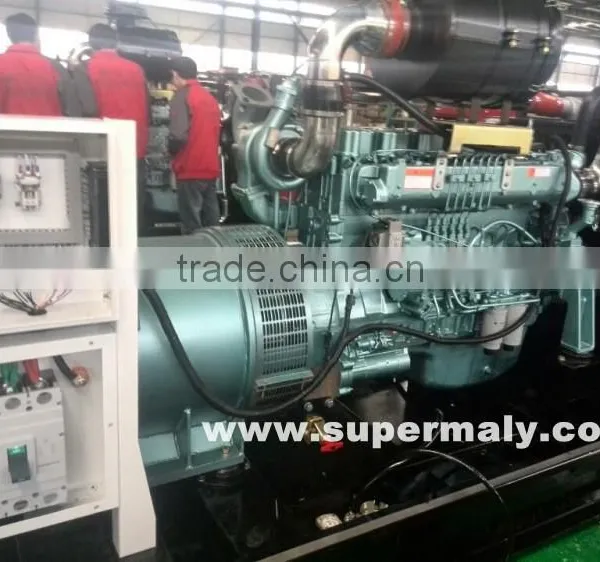 Hot ! 350kva Genset Diesel Generator photo-3