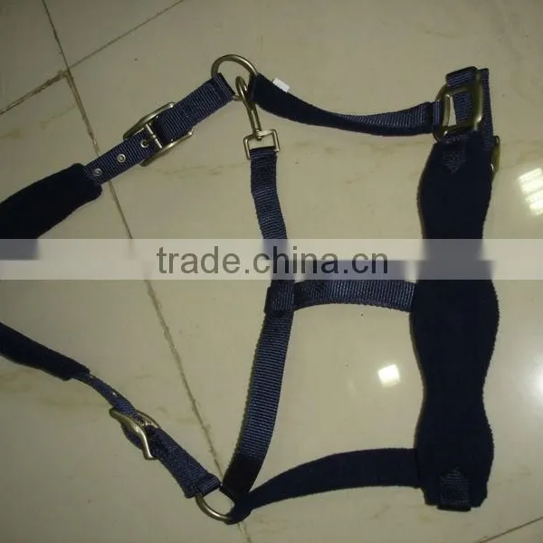 PP Halter