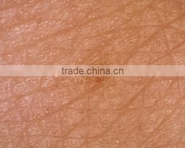 Portable Skin and Hair Analyzer Machine photo-4