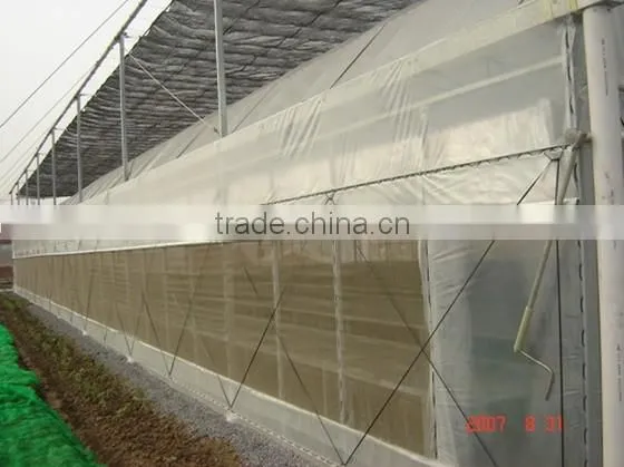 whitefly ultra fine mesh