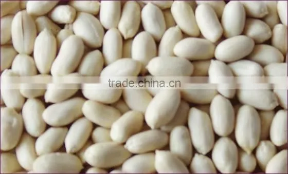Peanuts, Pin Nuts, White Almond