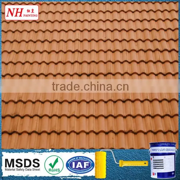 Polyurethane Paint for Flat Roof Repair photo-5