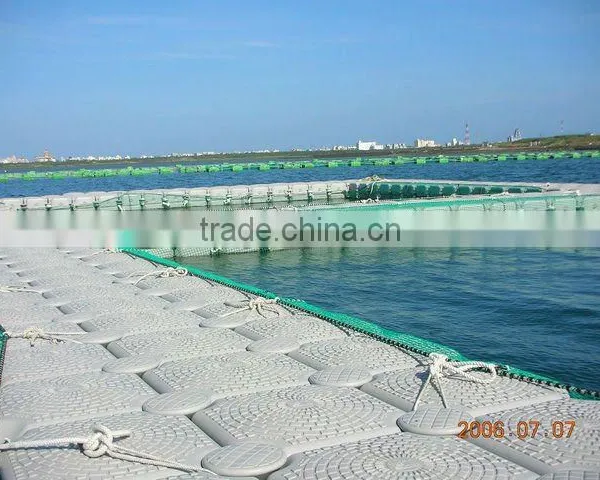 Farm Fish