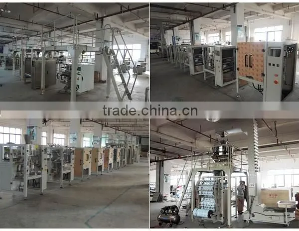 Chilli Powder Filling and Packing Machine photo-3