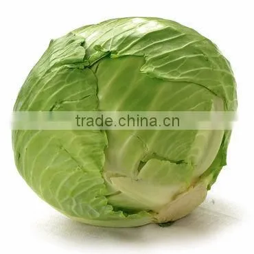 Exporters of Fresh Vegetables photo-5