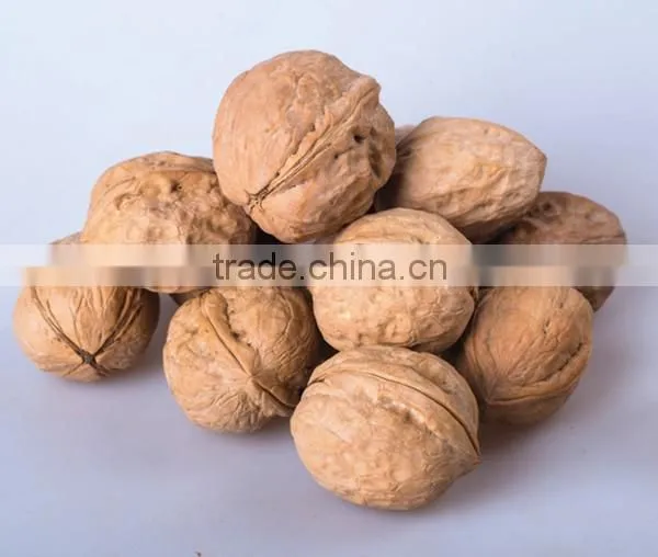 Chinese Walnut Kernel for Hot Sale and With Good Quality and Free Sample for You photo-4