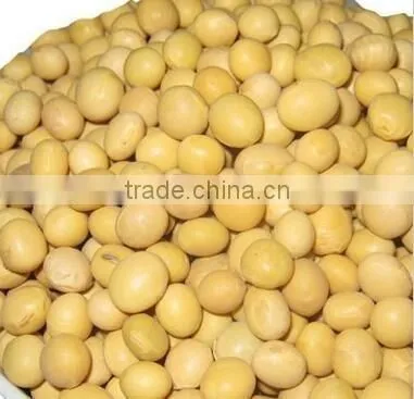 Low Price Soybean With High Nutritional Value From China photo-3