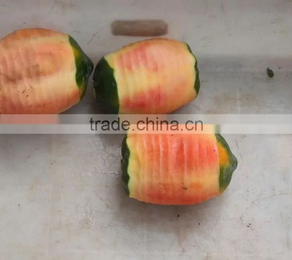 Automatic Pawpaw Pumpkin Taro and Honey Dew Melon Pineapple Peeler Peeling Skin Removing Machine photo-5