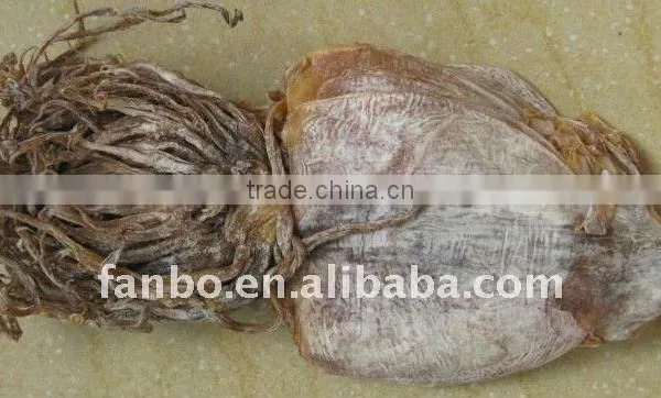 Dried North Korea Squid