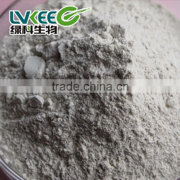 200 Billion Cfu/g Bacillus Subtilis for Wholesale photo-2