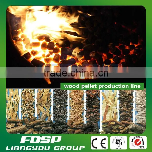 Corn Stalk Granulator Plant Biomass Granule Production Project photo-2
