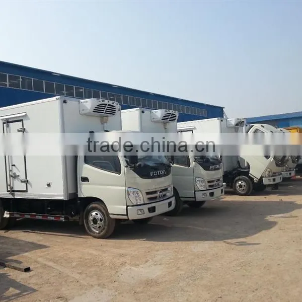 Plastic Mitsubish Reefer Truck With Low Price photo-5