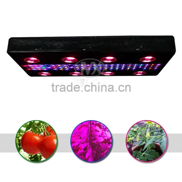 High Power LED Grow Light For Garden Greenhouse photo-2