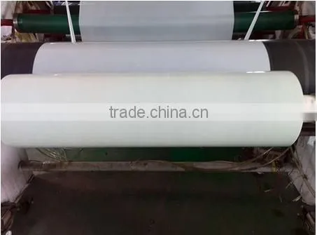 750mm Width Light Green and White Silage Wrap Film photo-6