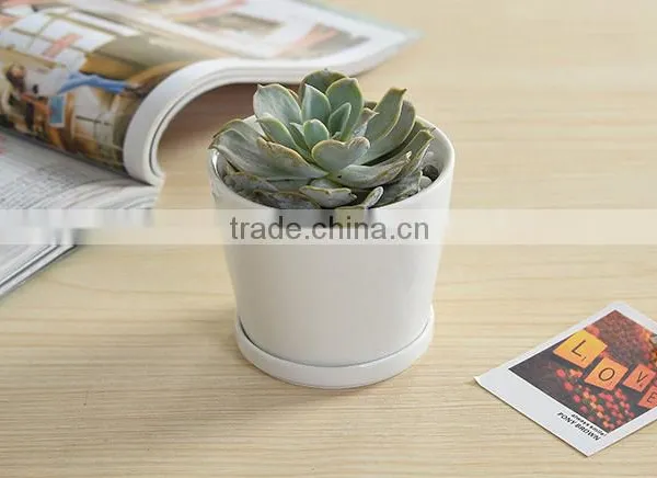Indoor Mini Ceramic Decor White Plant Pot photo-6