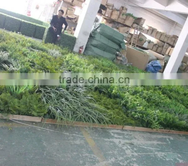 Russia's Project of Artificial Green Wall/park and Shopping Mall Plant Green Wall photo-2