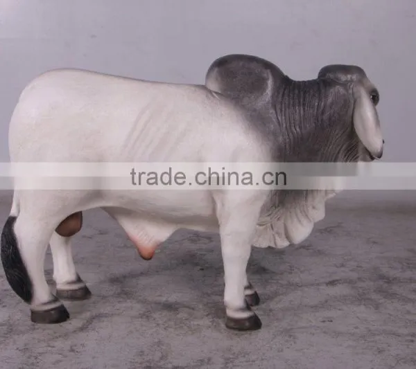 Definitive Brahman Looking Left photo-3