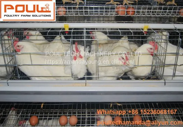 Indonesia Chicken Shed Hot Galvanized Cage for Hen & A Type Battery Layer Breeder Chicken Cage & Layer Coop for Poultry Farm photo-2
